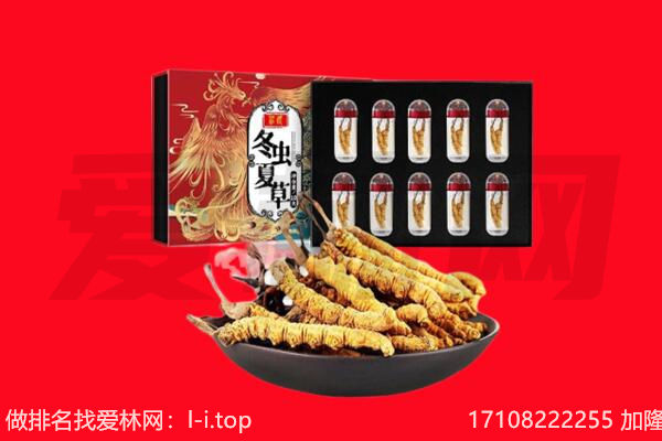 徐闻县回收虫草.jpg